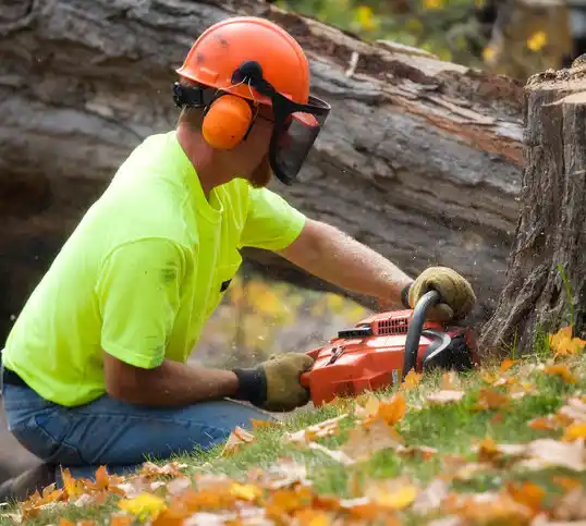 tree services Vinton